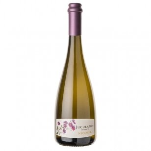 Baltasis vynas Nicosia Juculano Catarratto Frizzante Terre Siciliane IGT, 750 ml