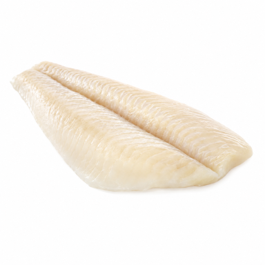 Jūrinės plekšnės filė Jūrinės plekšnės filė