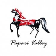 papari-valley-winery-1
